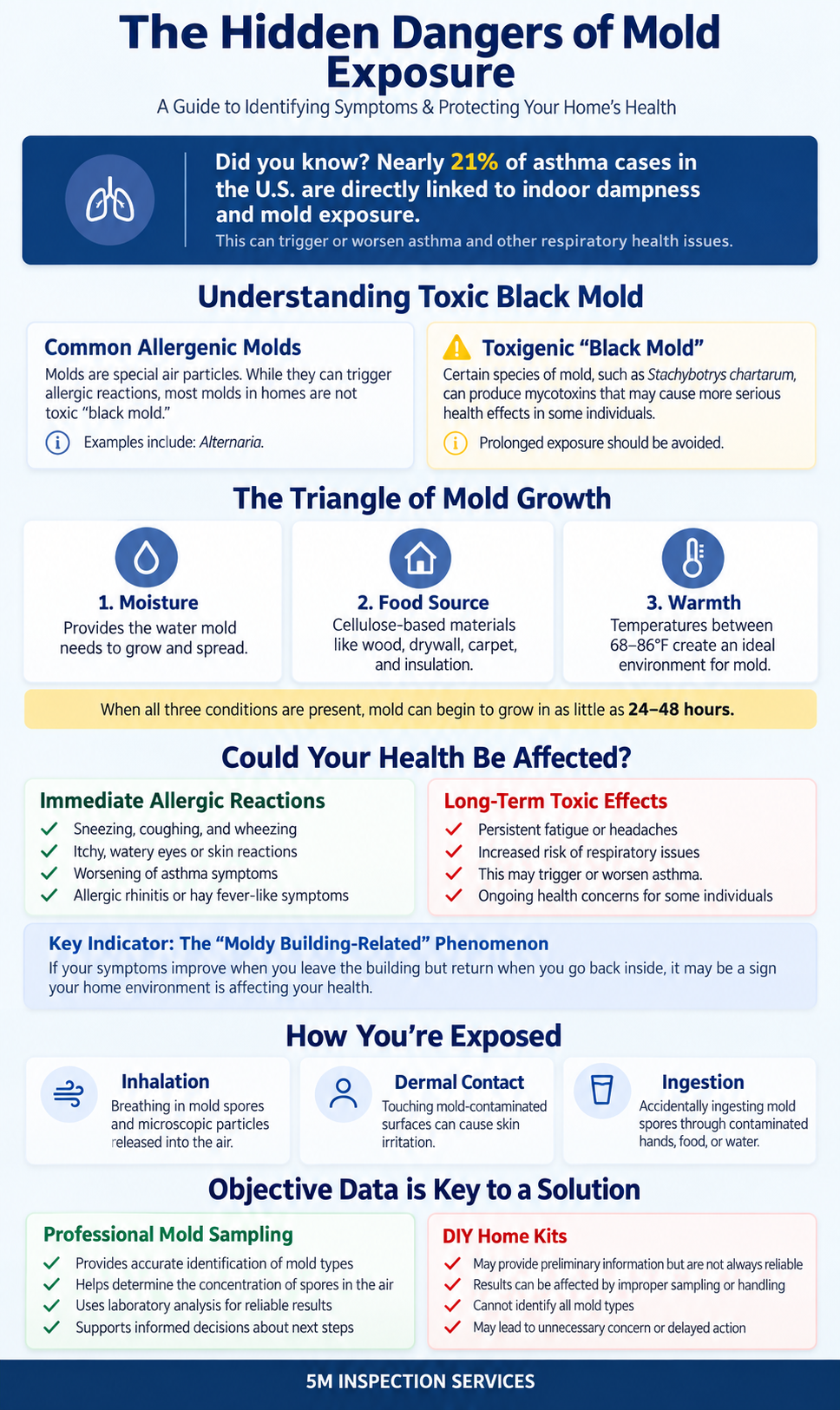 Hidden dangers of mold exposure
