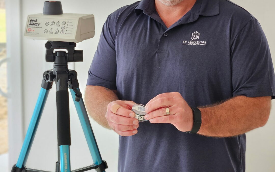 Mold Inspection Cost in Carmel, IN: 2026 Price Guide & Expert Insights