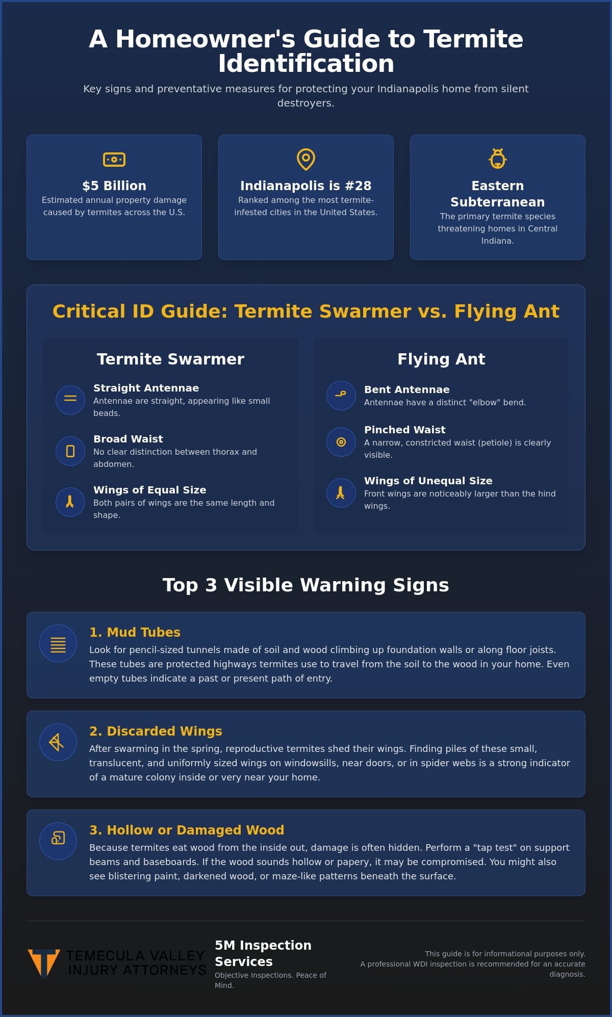 10 Critical Signs of Termites in Your House: The Homeowner’s Guide to Early Detection