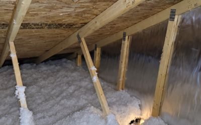 What Does an Attic Inspection Reveal About an Indianapolis Home?