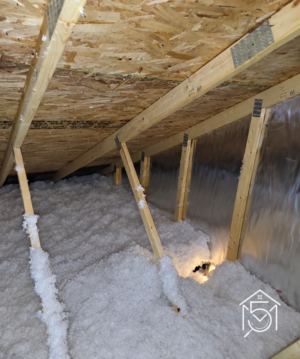 Attic Crawlspace with Exposed Framing