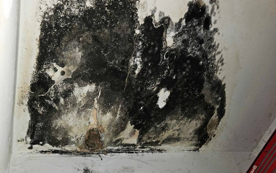 Water Stains During a Water Damage Inspection in Indianapolis: Active Leak, Old Damage, or Condensation?