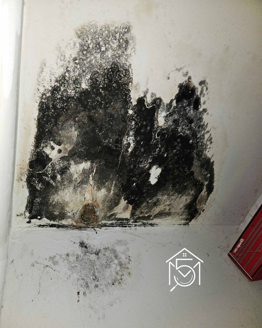 water-intrusion