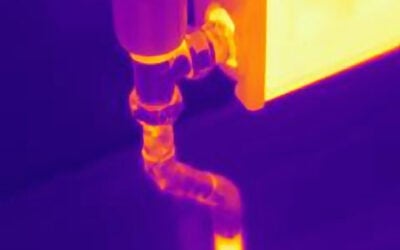 What Can Thermal Imaging Detect in a Home Inspection?